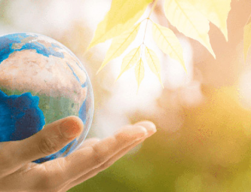 Planet Watch con ClimateTrade ofrece a la comunidad compensar su huella de carbono
