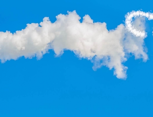 ¿Qué son los créditos de carbono ‘buenos’ o ‘malos’?