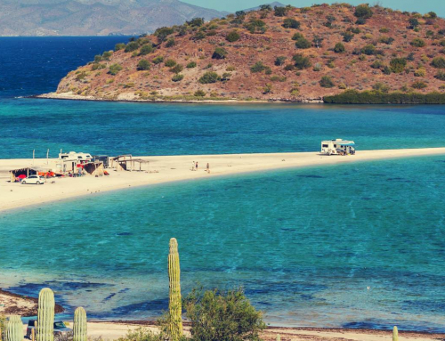 Mexico’s Mar de Cortés region teams up with ClimateTrade to decarbonize tourism