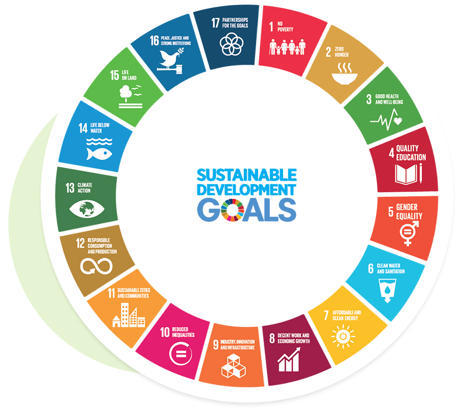 Start carbon offset goals