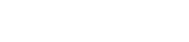 Iberia logo success story