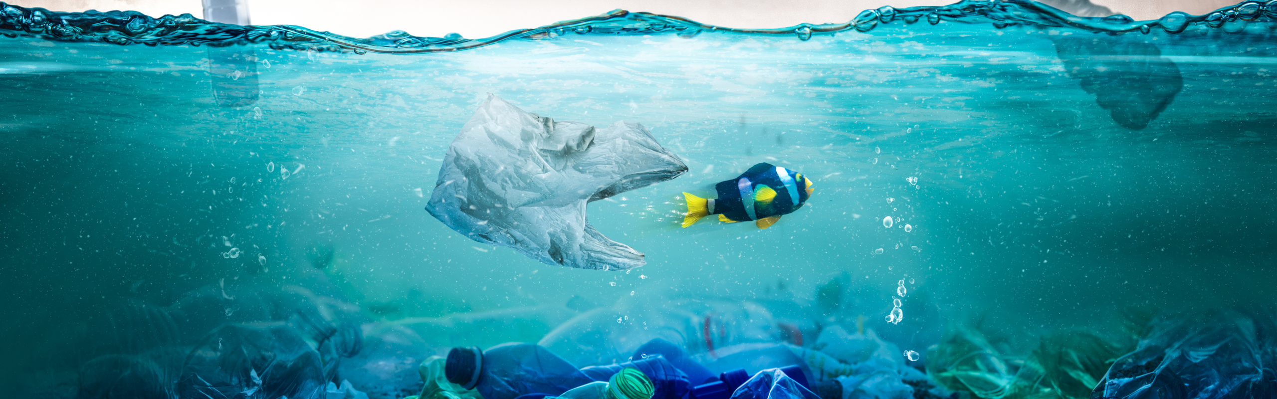 The world’s most polluting industries ocean plastic