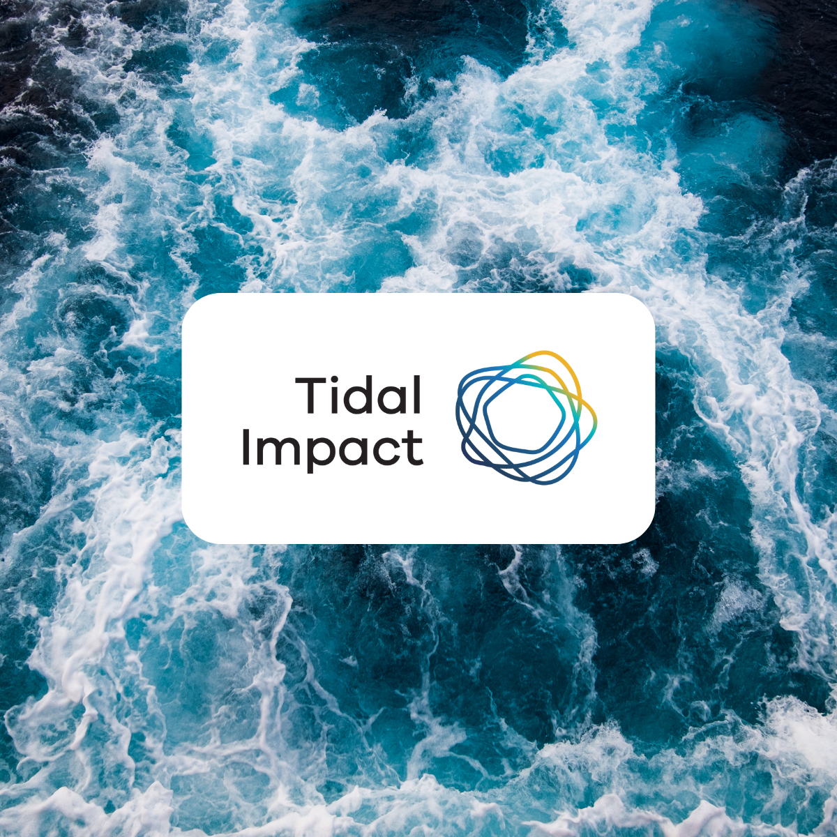 Tidal Impact