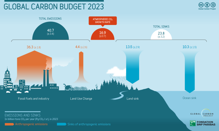 carbon budget