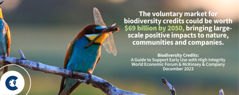 The Business Case for Biodiversity Credits: Transportation Edition