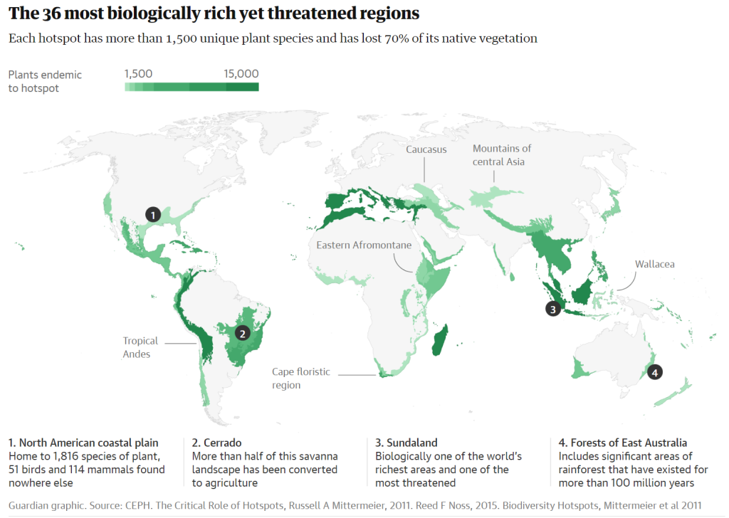 The Business Case for Biodiversity Credits: Transportation Edition