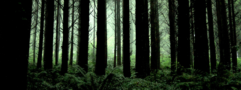 The time for high-quality carbon offsets and scalable climate solutions is now.