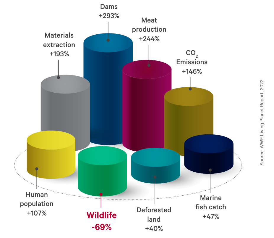 Why is the EU Nature Restoration Law a landmark achievement for Europe’s biodiversity and climate goals?