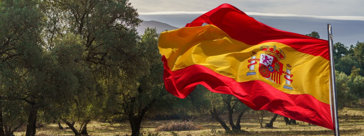 Real Decreto 214/2025
