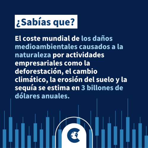 ¿Por qué es la Ley de Restauración de la Naturaleza de la UE un logro histórico para los objetivos de biodiversidad y clima de Europa?